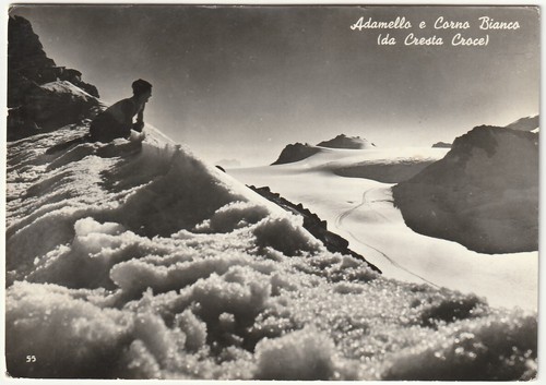 Adamello corno bianco da - adamello,
