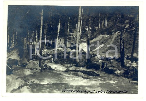 1917 ww1 gruppo dell - 1917, dell'adamello