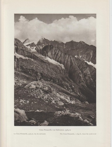 Cima presanella - cima,
