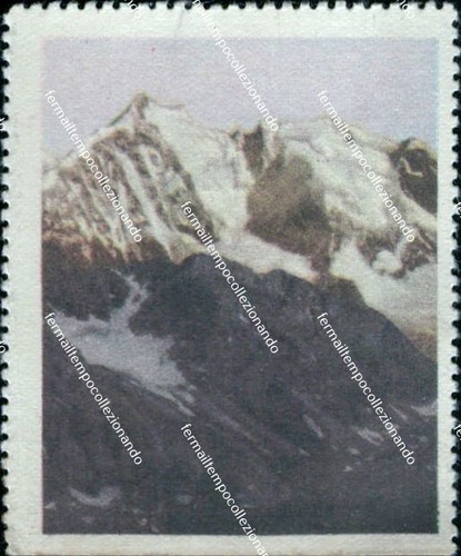 Bq17 figurina card quiz - card,