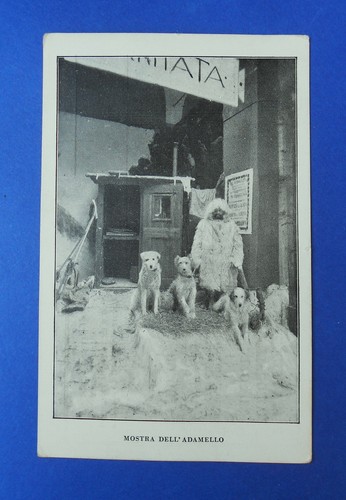 Cartolina esposizione - cartolina,